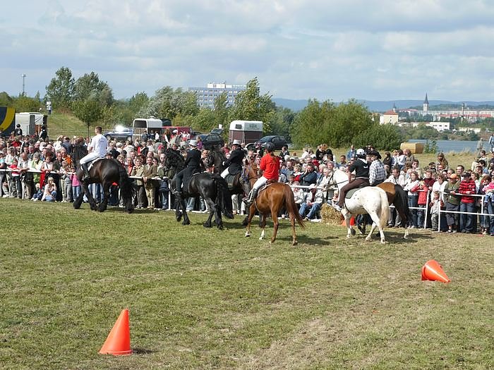 Giganten und anderes auf dem Scheunenhof