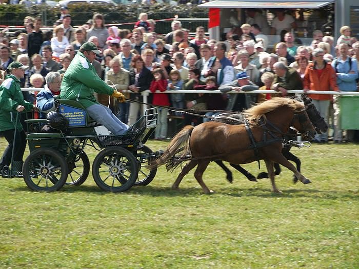 Giganten und anderes auf dem Scheunenhof