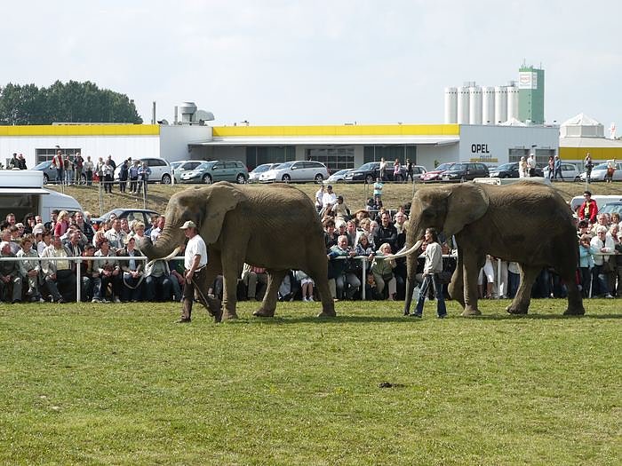 Giganten und anderes auf dem Scheunenhof