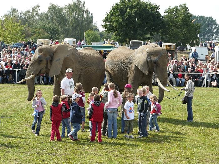 Giganten und anderes auf dem Scheunenhof