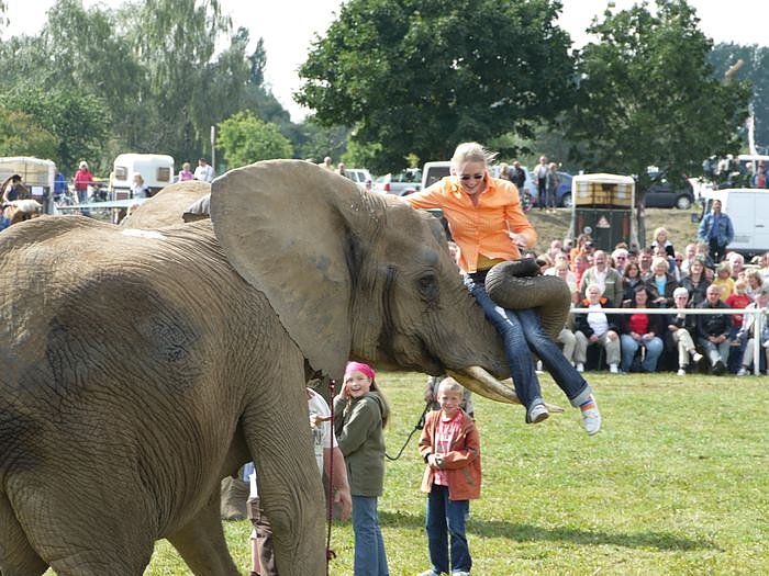 Giganten und anderes auf dem Scheunenhof