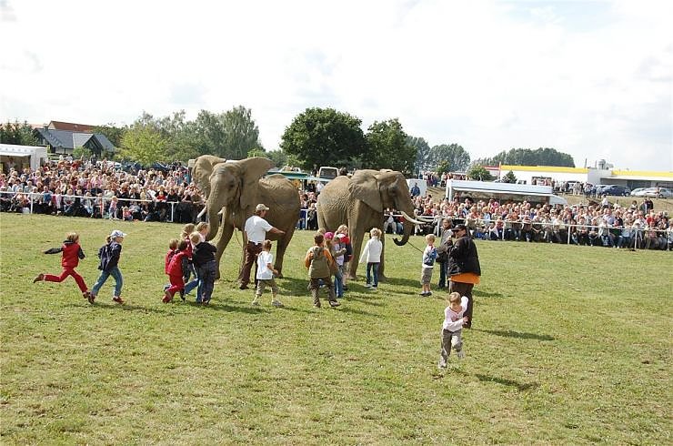 Kampf der Giganten auf dem Scheunenhof