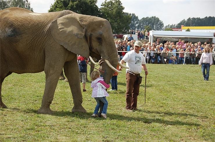 Kampf der Giganten auf dem Scheunenhof