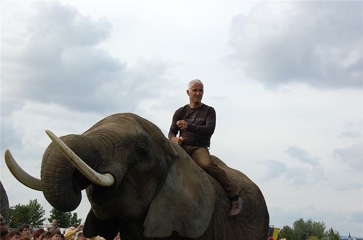 Kampf der Giganten auf dem Scheunenhof