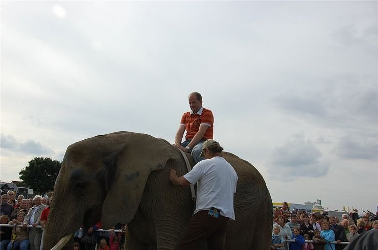 Kampf der Giganten auf dem Scheunenhof