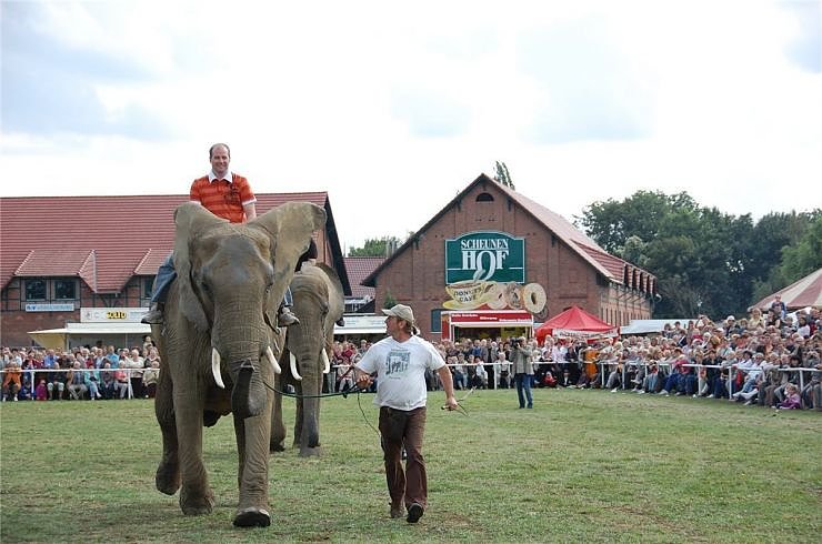 Kampf der Giganten auf dem Scheunenhof