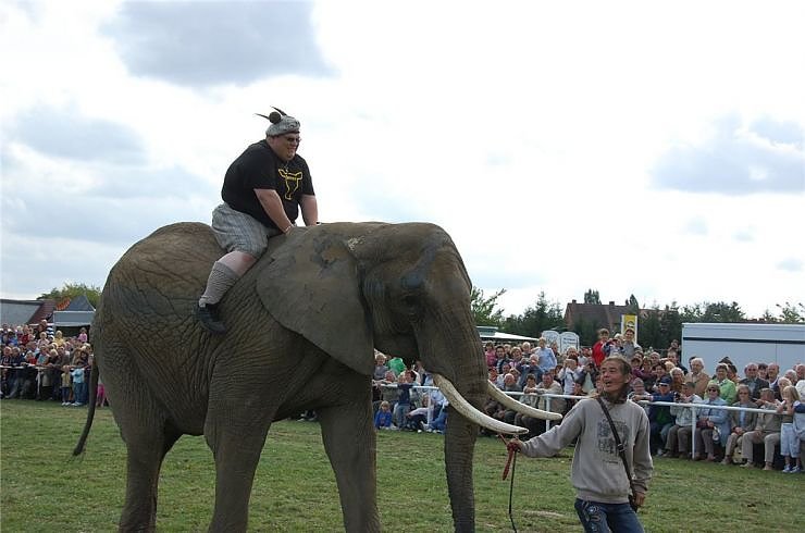 Kampf der Giganten auf dem Scheunenhof