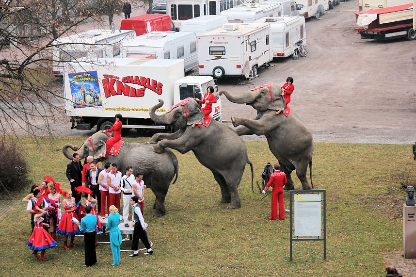 Der Zirkus stellt sich vor