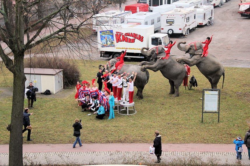 Der Zirkus stellt sich vor