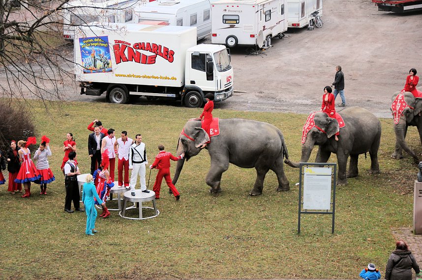 Der Zirkus stellt sich vor