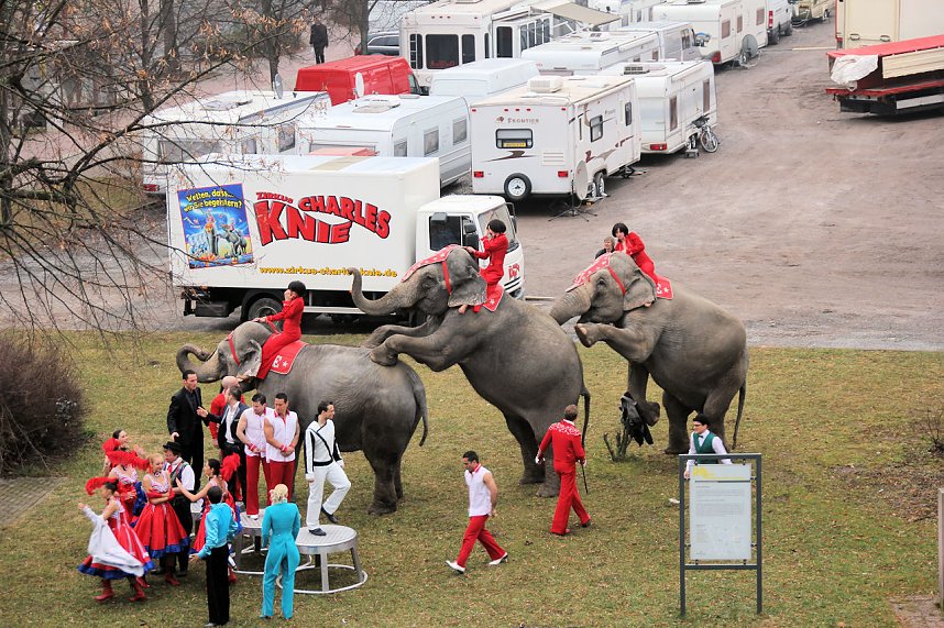Der Zirkus stellt sich vor