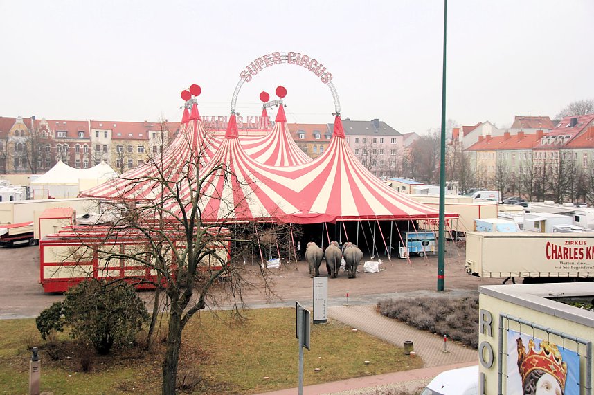 Der Zirkus stellt sich vor