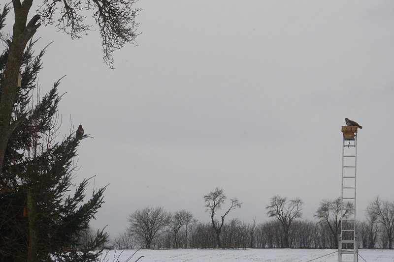 Futter auch f&uuml;r die "Gro&szlig;en"