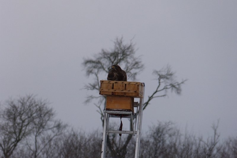 Futter auch f&uuml;r die "Gro&szlig;en"