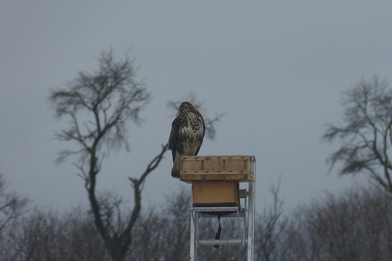 Futter auch f&uuml;r die "Gro&szlig;en"