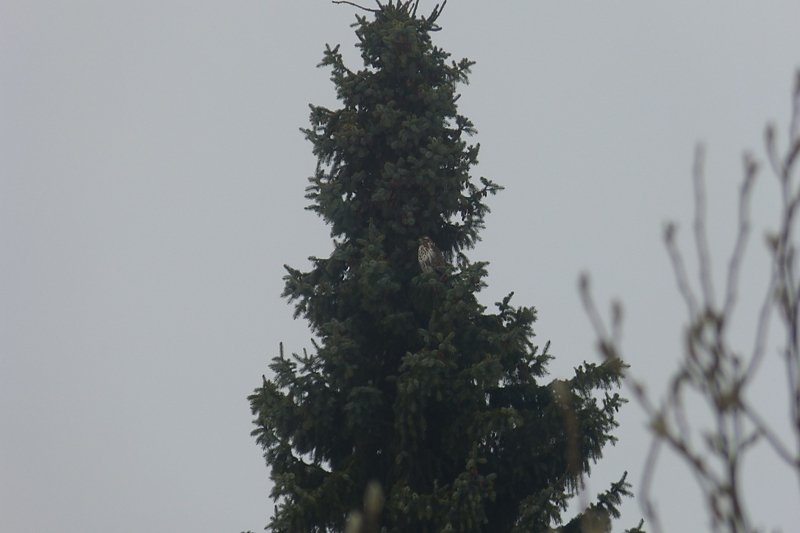 Futter auch f&uuml;r die "Gro&szlig;en"