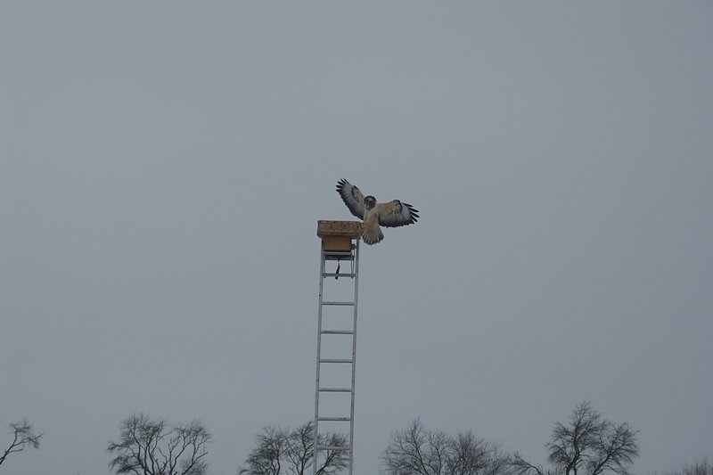 Futter auch f&uuml;r die "Gro&szlig;en"