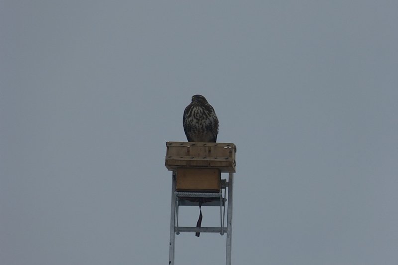 Futter auch f&uuml;r die "Gro&szlig;en"