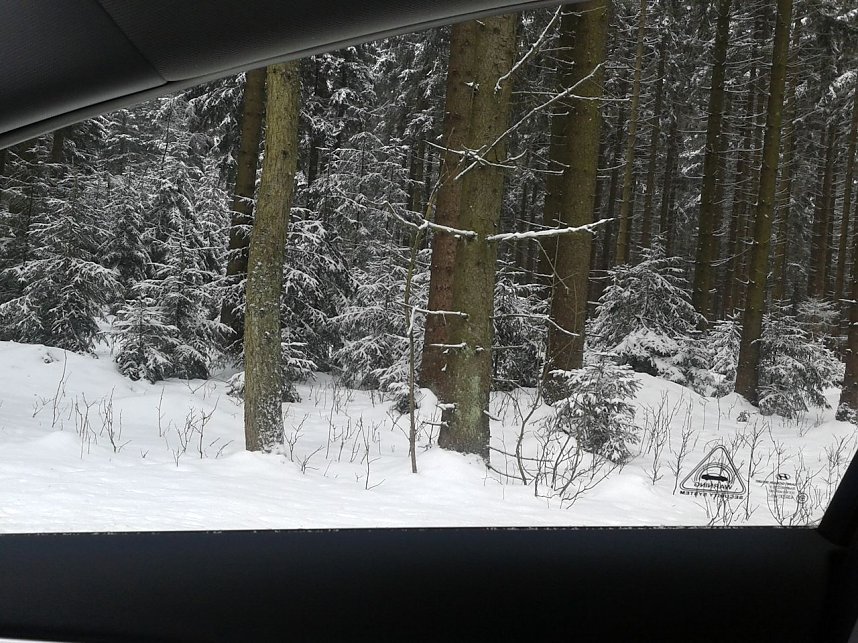 Wo bleibt der Fr&uuml;hling?