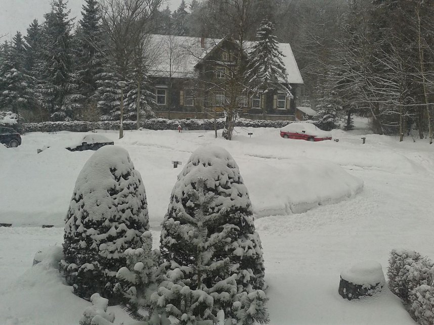 Wo bleibt der Fr&uuml;hling?