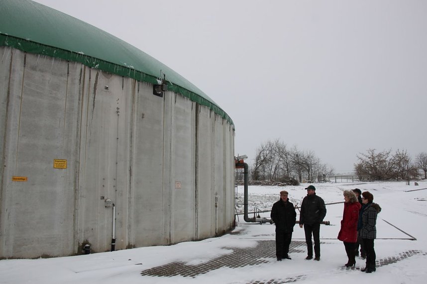Besuch bei zufriedenen K&uuml;hen