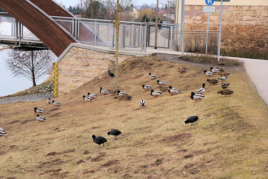 Ostermarkt in Sondershausen