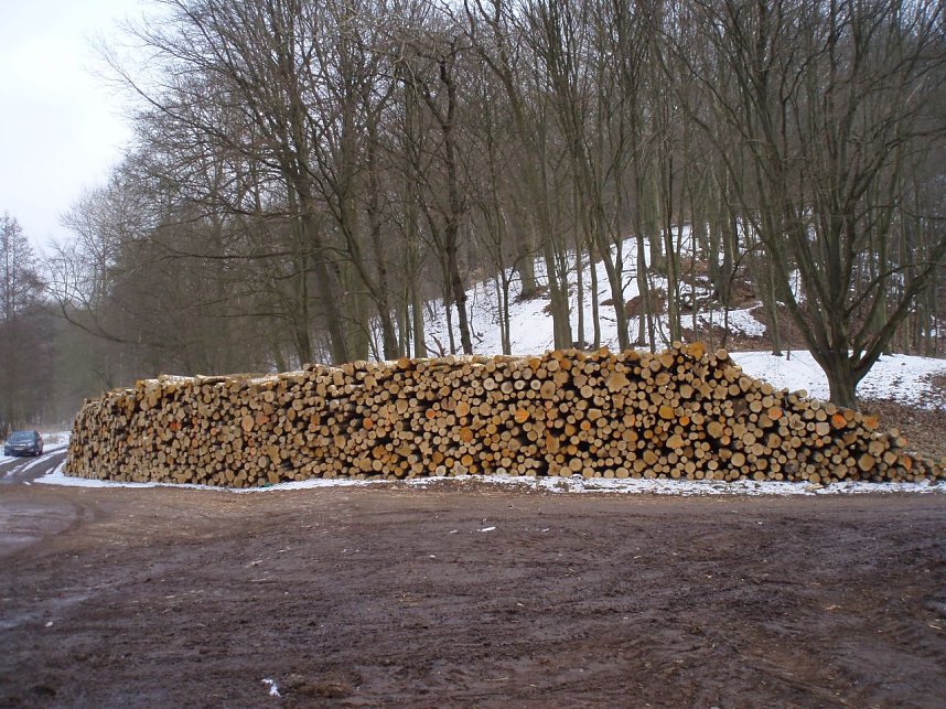 Unter der Leitung des zust&auml;ndigen Revierleiters, Michael Wei&szlig;leder, sind durch den Bestands-aufschluss 220 Festmeter Laubindustrieholz angefallen. Der Hieb erfolgte pfleglich.