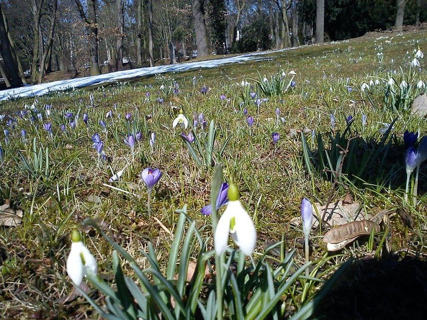 Ein Hauch von Fr&uuml;hling