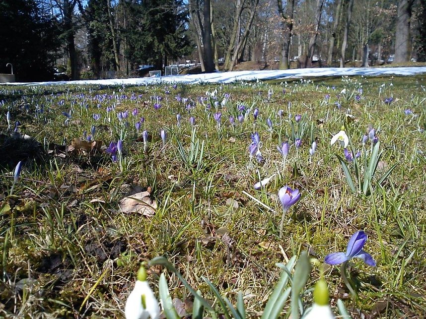 Ein Hauch von Fr&uuml;hling