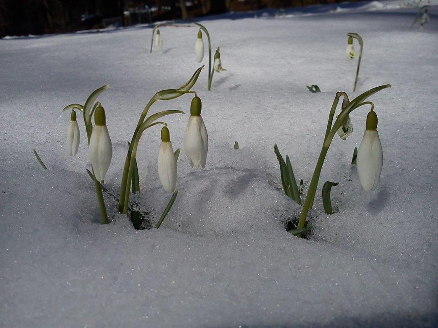 Ein Hauch von Fr&uuml;hling