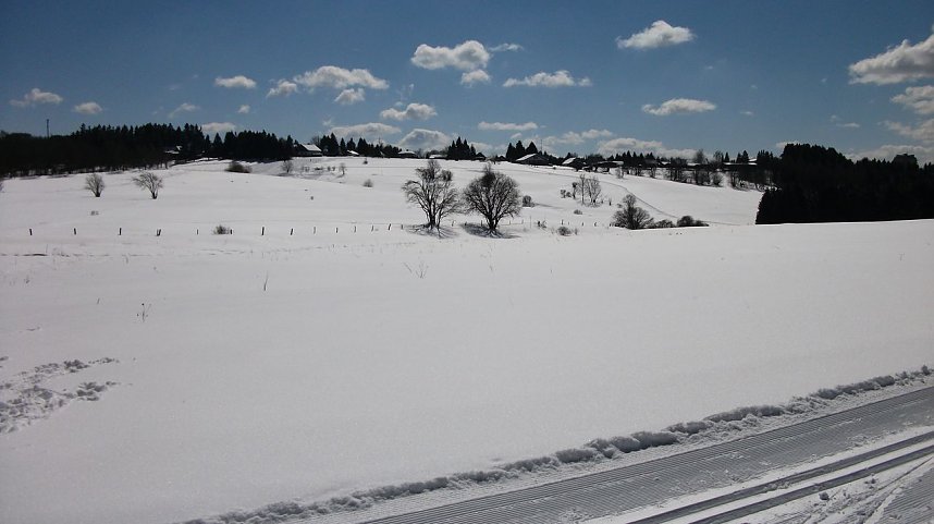 Winterliche Impressionen