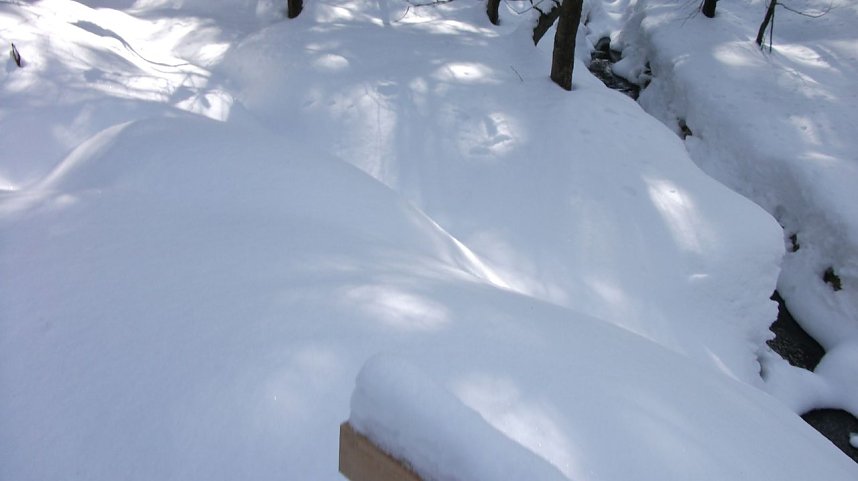 Winterliche Impressionen