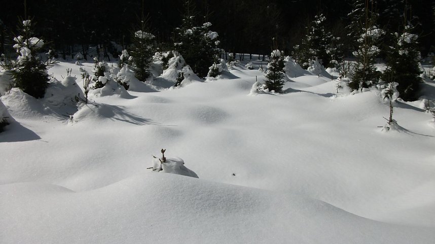 Winterliche Impressionen