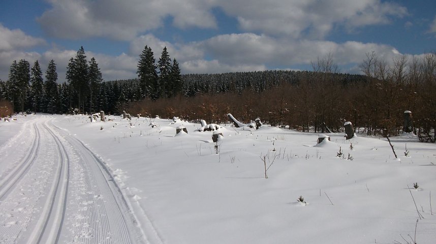 Winterliche Impressionen