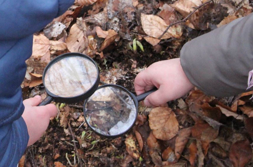 Fr&uuml;hling gesucht