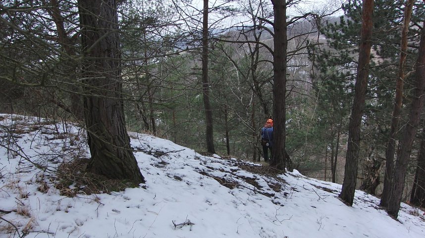 Artenschutz praktiziert