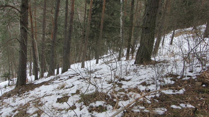 Artenschutz praktiziert