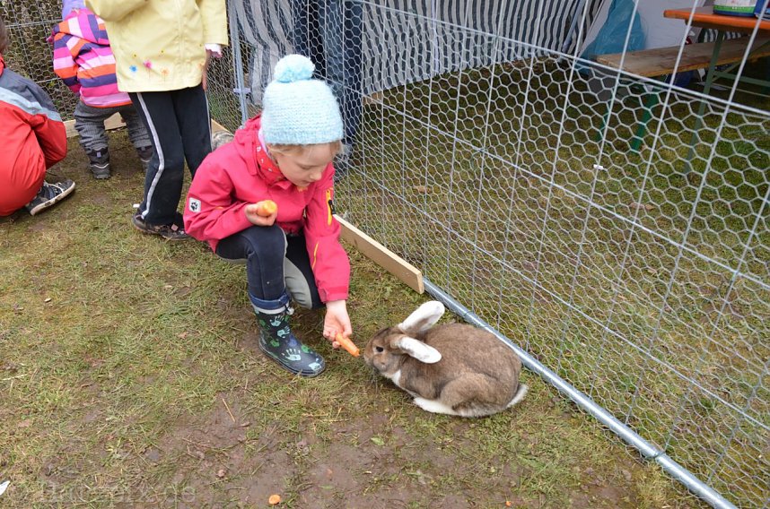 Hoffest Wollersleben