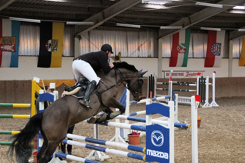 Reitturnier und Hoffest