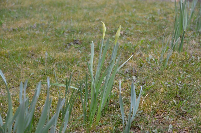 City Scout unterwegs