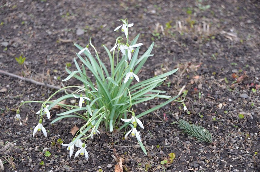 City Scout unterwegs