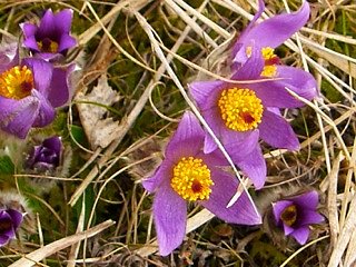 Wanderung in den Fr&uuml;hling