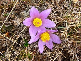 Wanderung in den Fr&uuml;hling