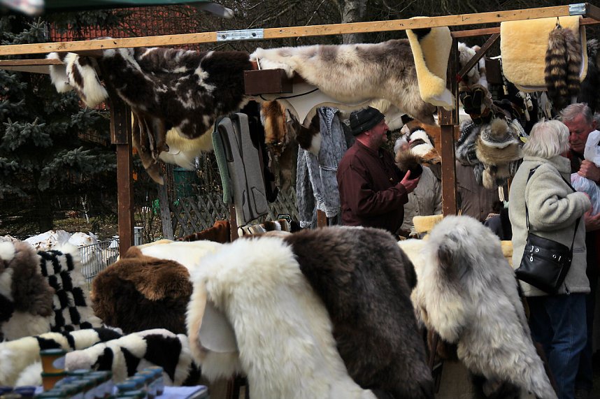 L&auml;mmerfest auf Sophienhof