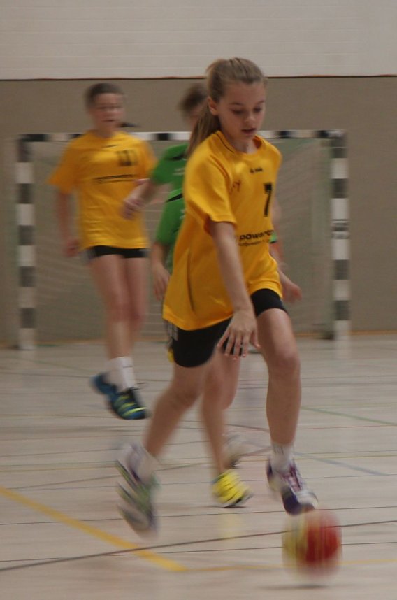 Erfolgreicher Handball-Nachwuchs