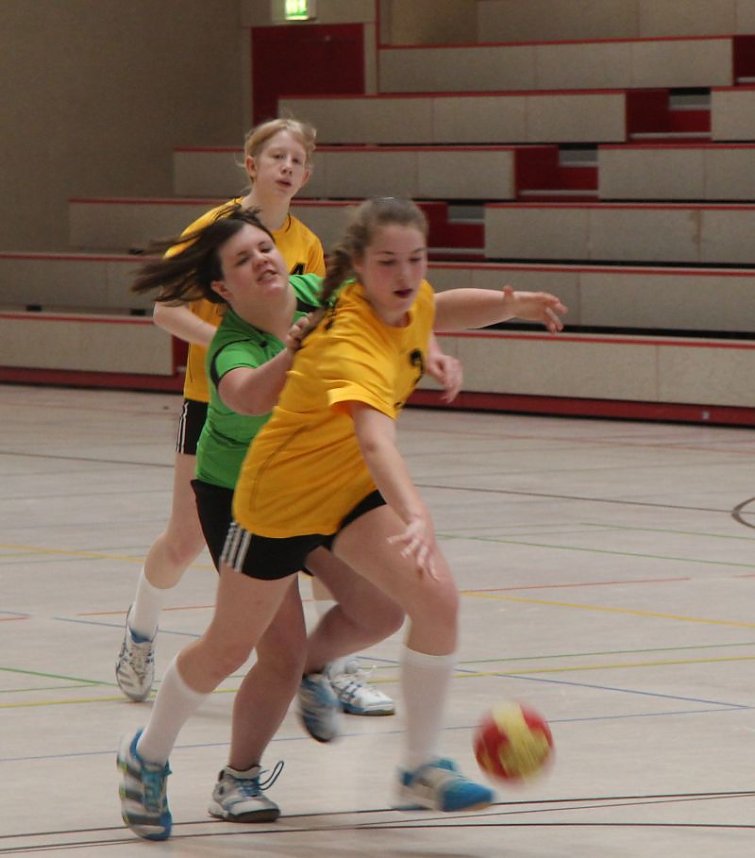 Erfolgreicher Handball-Nachwuchs