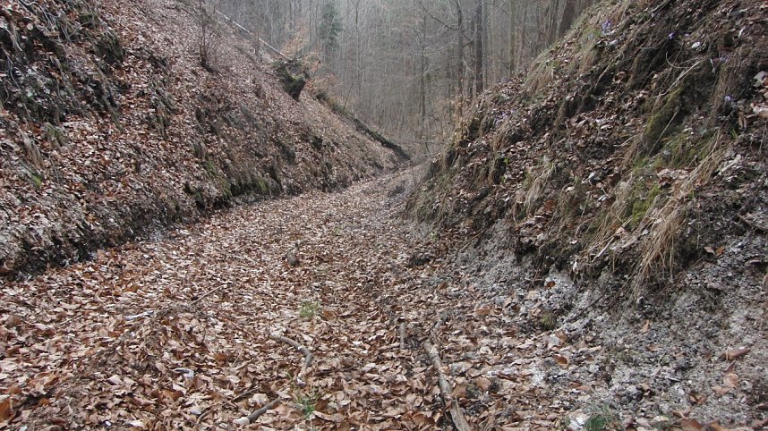 Bulldozer im Alten Stolberg