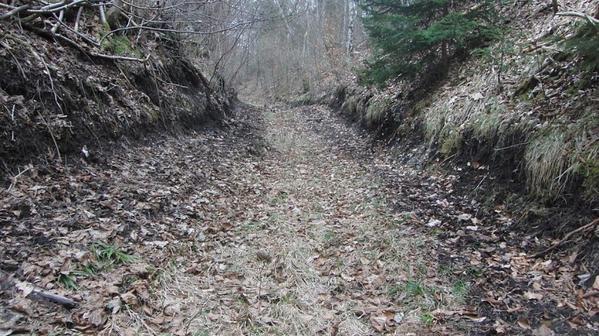 Bulldozer im Alten Stolberg