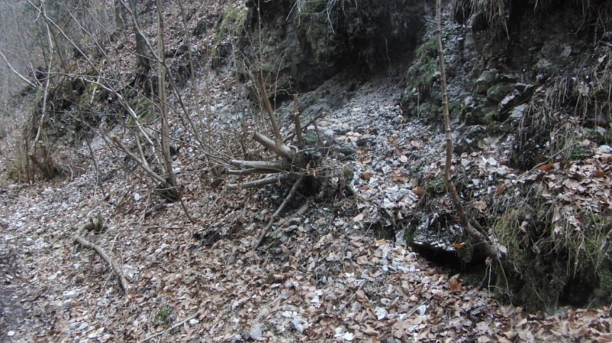Bulldozer im Alten Stolberg