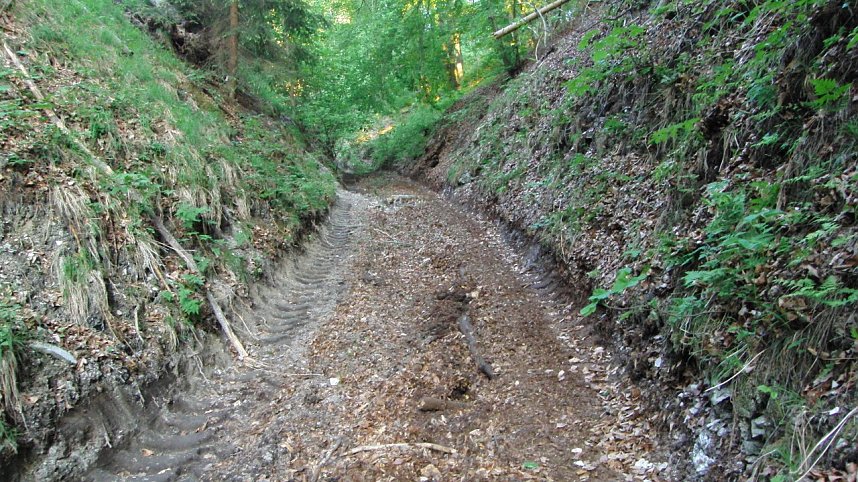 Bulldozer im Alten Stolberg